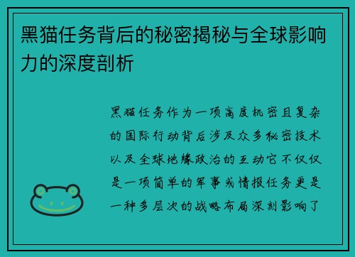 黑猫任务背后的秘密揭秘与全球影响力的深度剖析